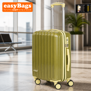 Fergana 20 Inch Cabin Carry On Polycarbonate Hard Shell Suitcase Lightweight Spinner Luggage TSA Lock Army Green