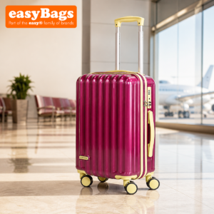 Fergana 20 Inch Cabin Carry On Polycarbonate Hard Shell Suitcase Lightweight Spinner Luggage TSA Lock Purple